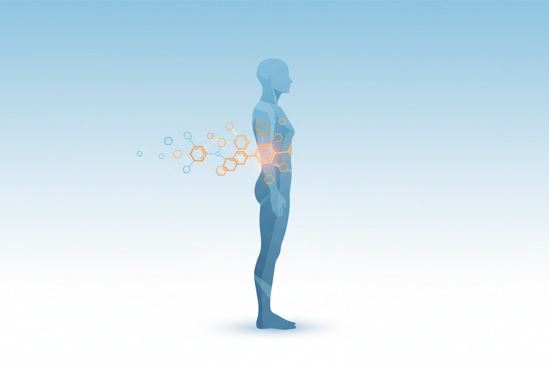 Metabolic health awareness banner for a type 2 diabetes causes, symptoms and prevention guide