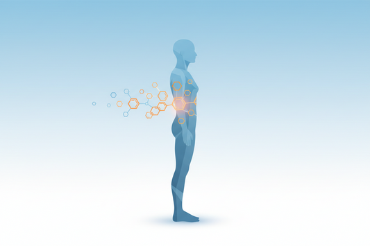 Metabolic health awareness banner for a type 2 diabetes causes, symptoms and prevention guide
