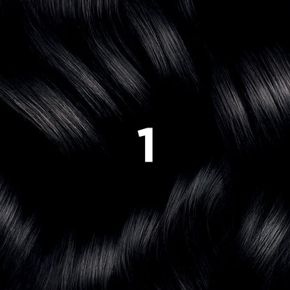 PHYTO Color Permanent Hair Color Kit Shade 1 Black
