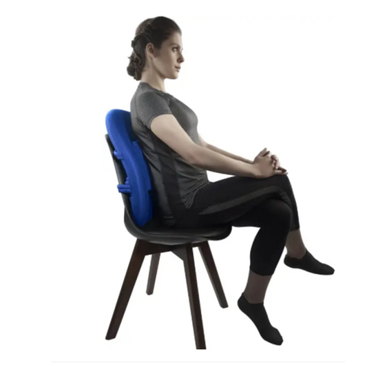 Vissco Liv Orthopaedic Back Rest-Universal-Blue (0107)